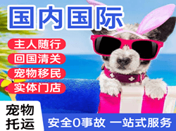 西郊航空货运国际宠物托运 【国